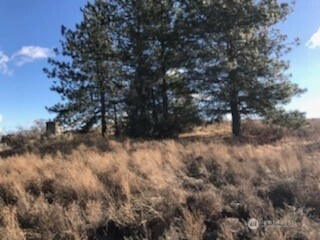 39680 5 Star Barn Rd N Unit  Davenport WA 99122