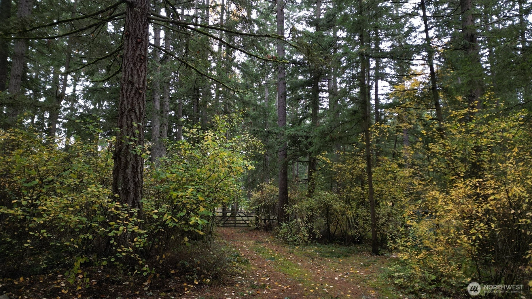 36201 S 62nd Ave Roy WA 98407