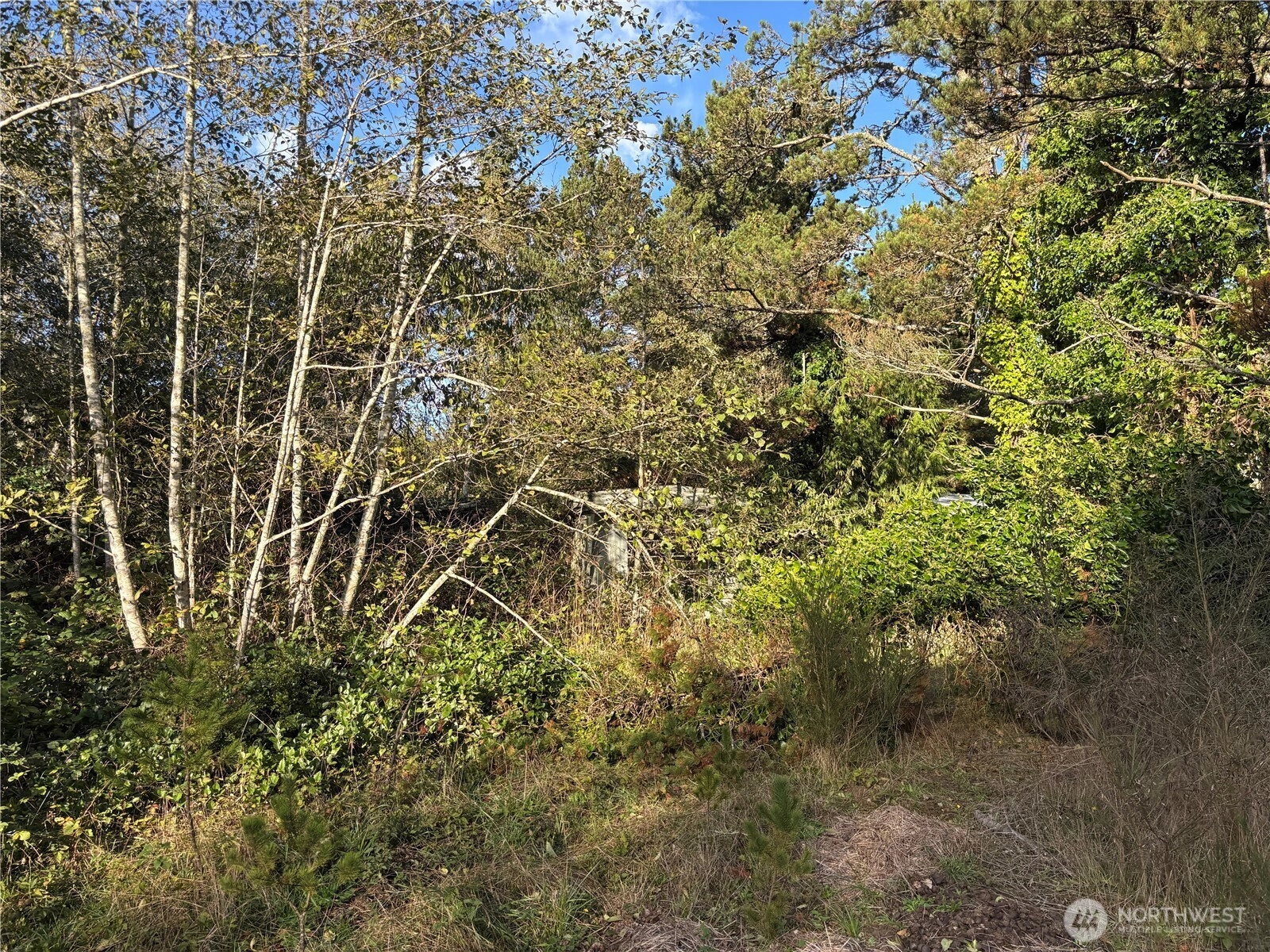 Wa-105 Grayland WA 98541