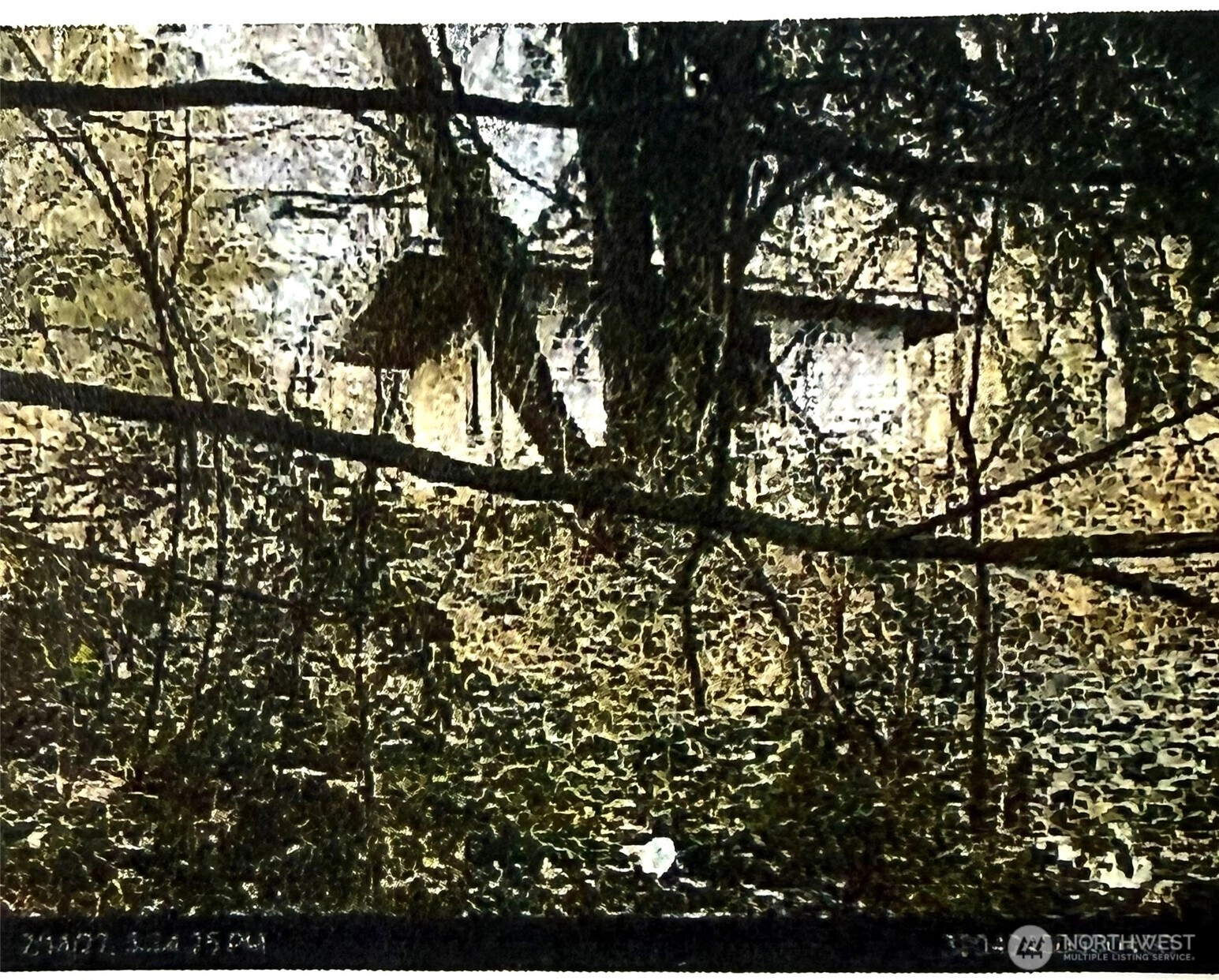 1011 Sr-532 Stanwood WA 98223