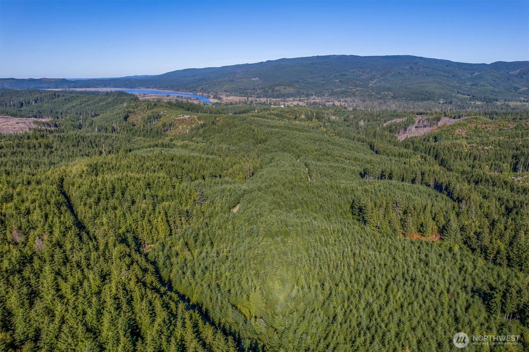 6 Parpala Rd Unit 6 Unit 6 Naselle WA 98638