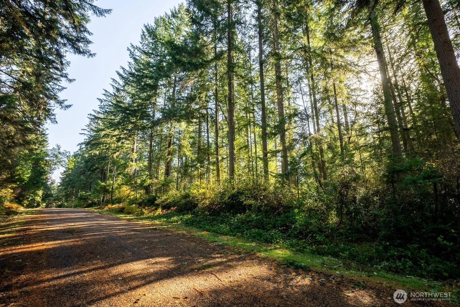 11324 Laurel Pl Anderson Island WA 98303