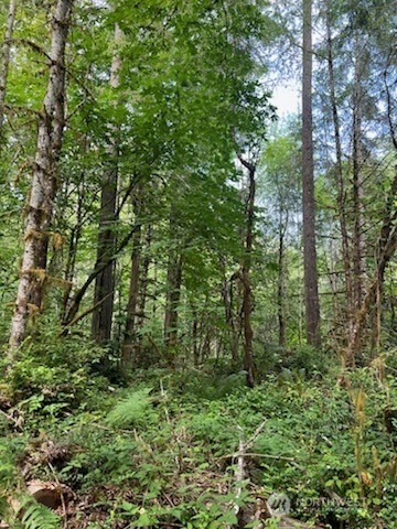 0 Lot C Orchard Ave SE Olalla WA 98359