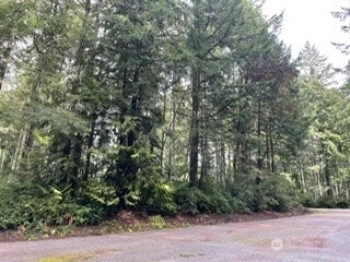 11307 114th St Ct Unit  Anderson Island WA 98303