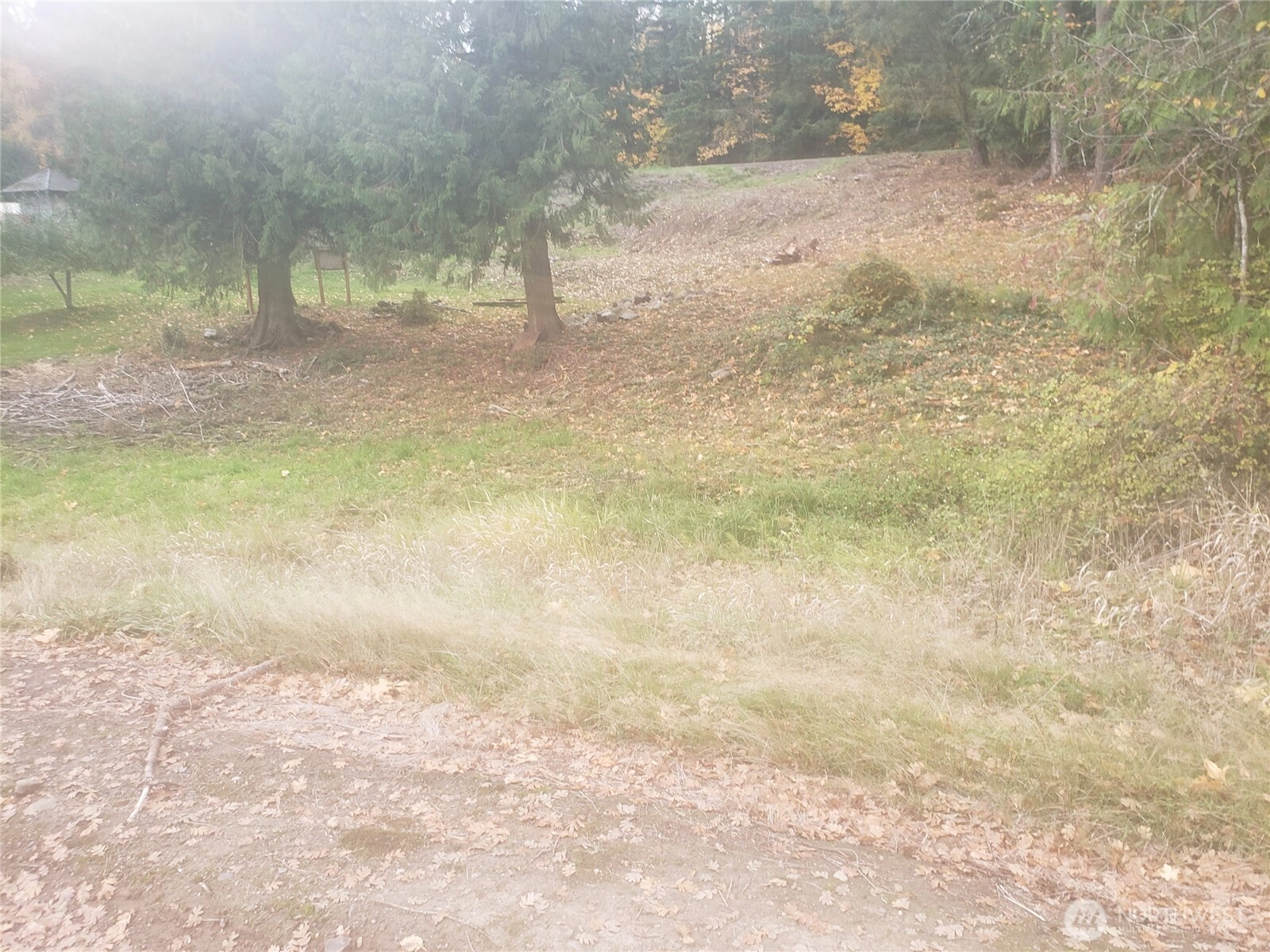 222 Grade St Kelso WA 98626