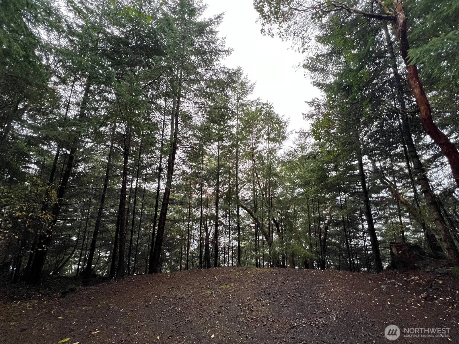 649 Shore Rd Unit  Orcas Island WA 98245