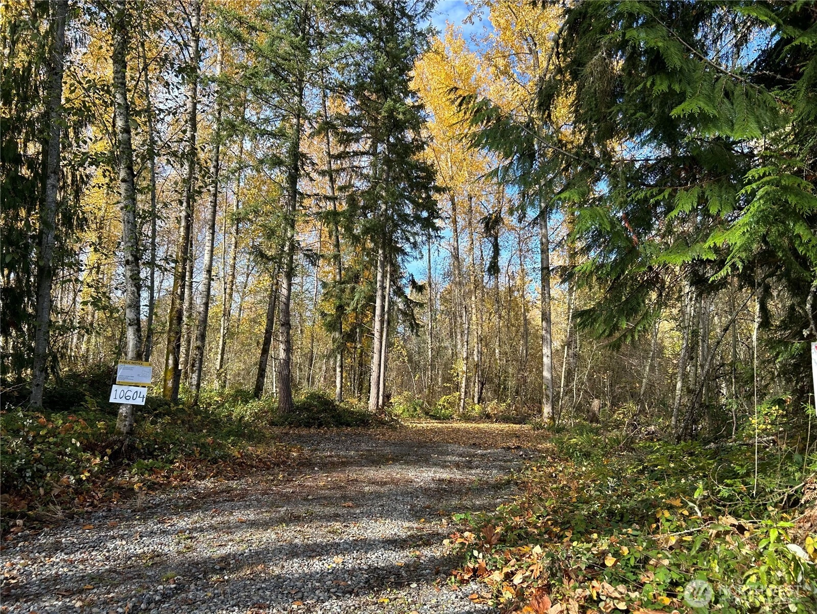 10604 258th Ave E Buckley WA 98321