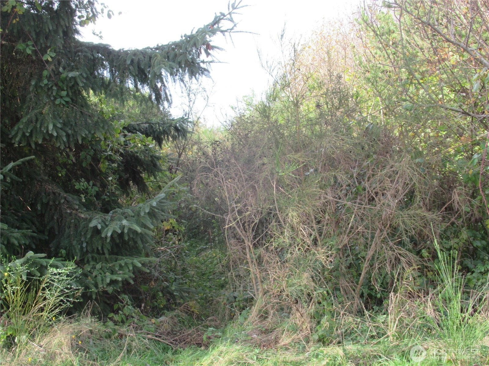 4 Driftwood Dr Ocean City WA 98569