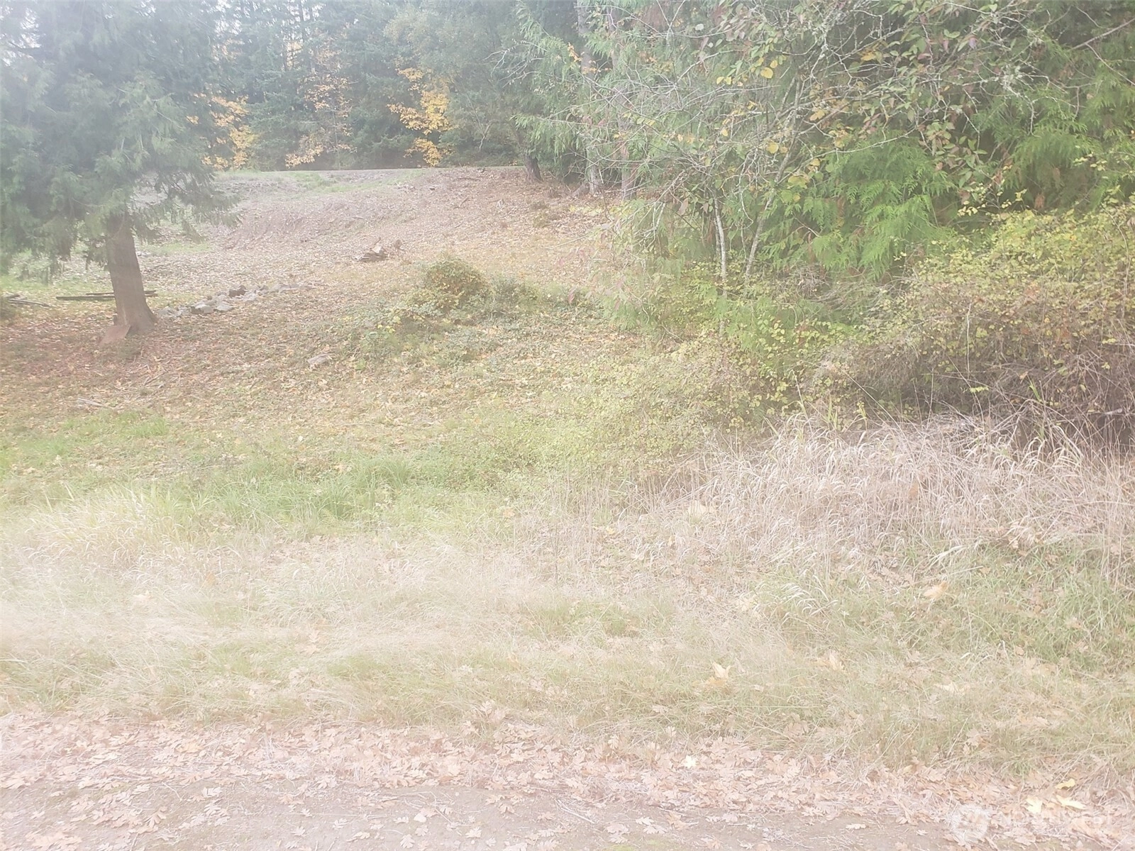 333 Grade St Kelso WA 98626