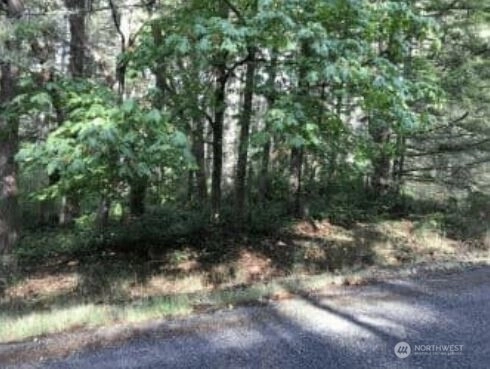 10602 Madrona Dr Anderson Island WA 98303