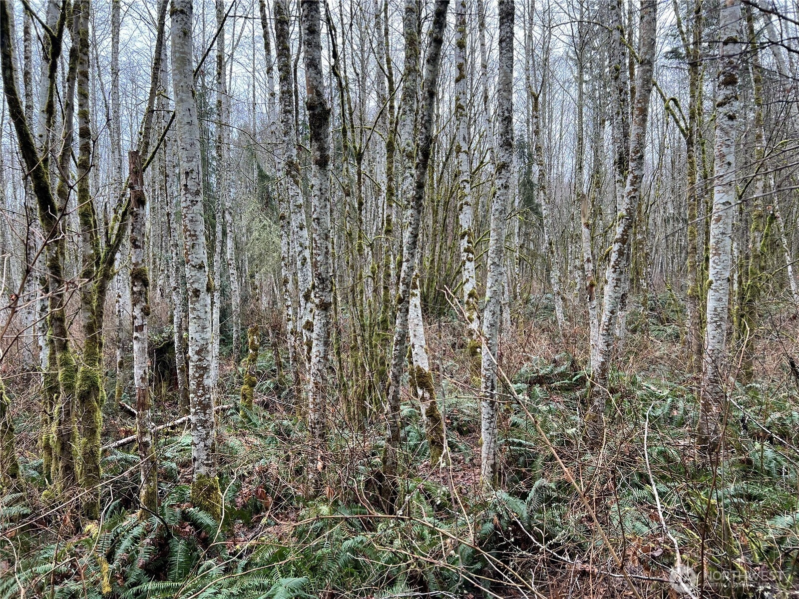 3 XX Scenic Dr Poulsbo WA 98370