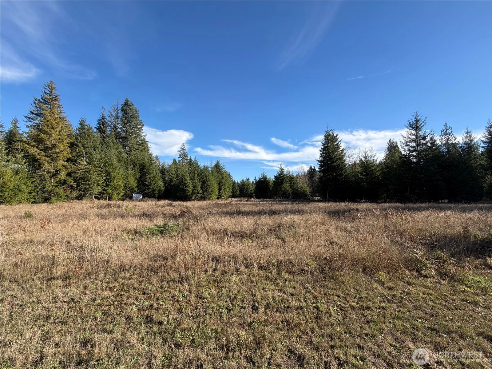 138 Shelton Rd Randle WA 98377