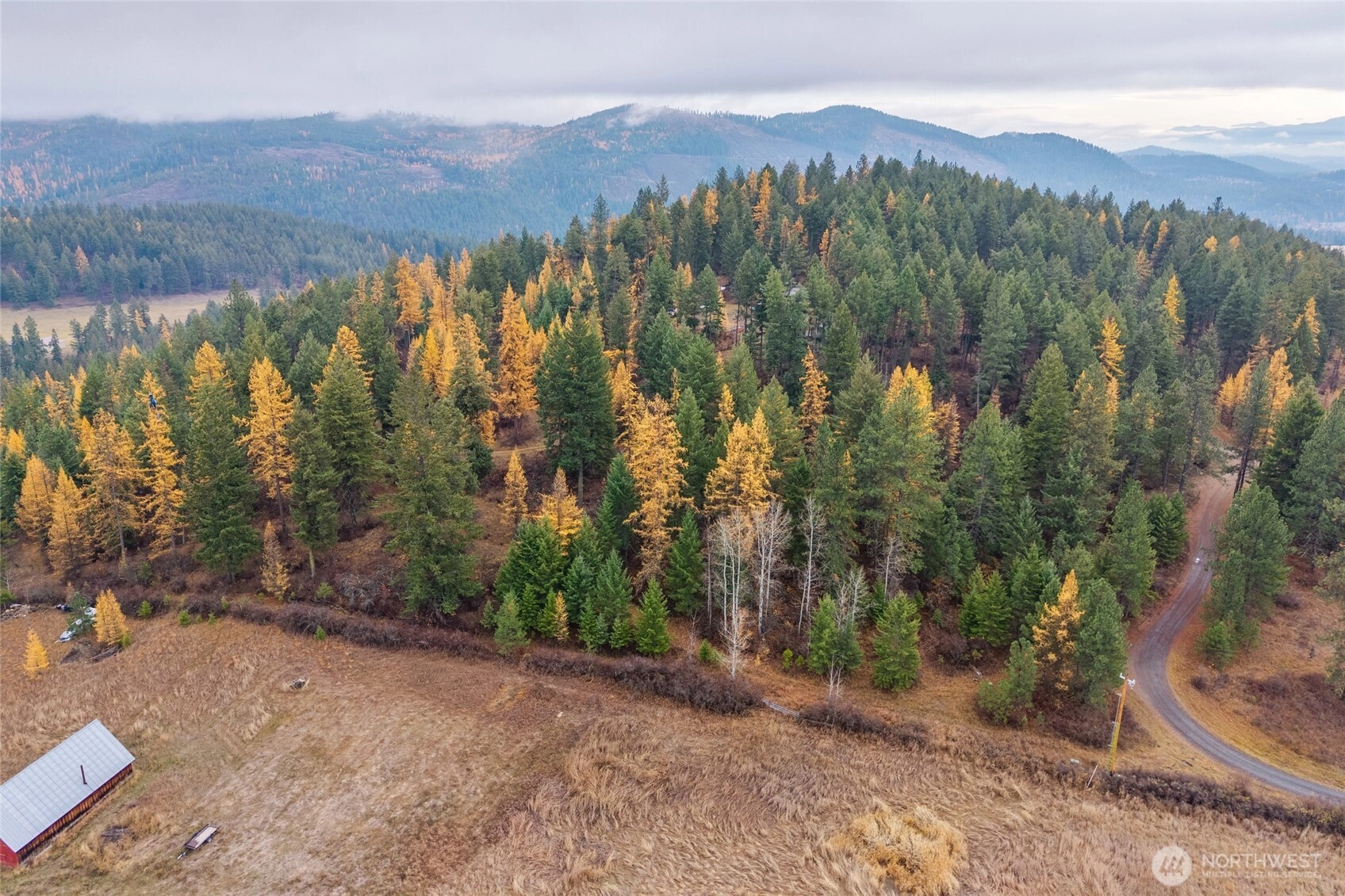 700 L Dry Gulch Rd Colville WA 99114