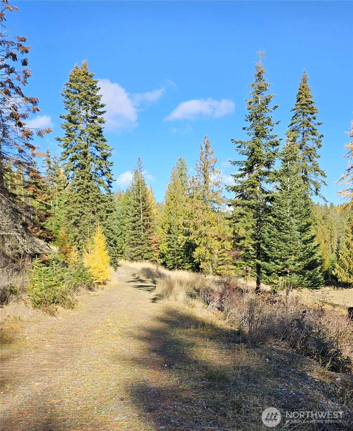 717 B Finley Gulch Rd Colville WA 99114