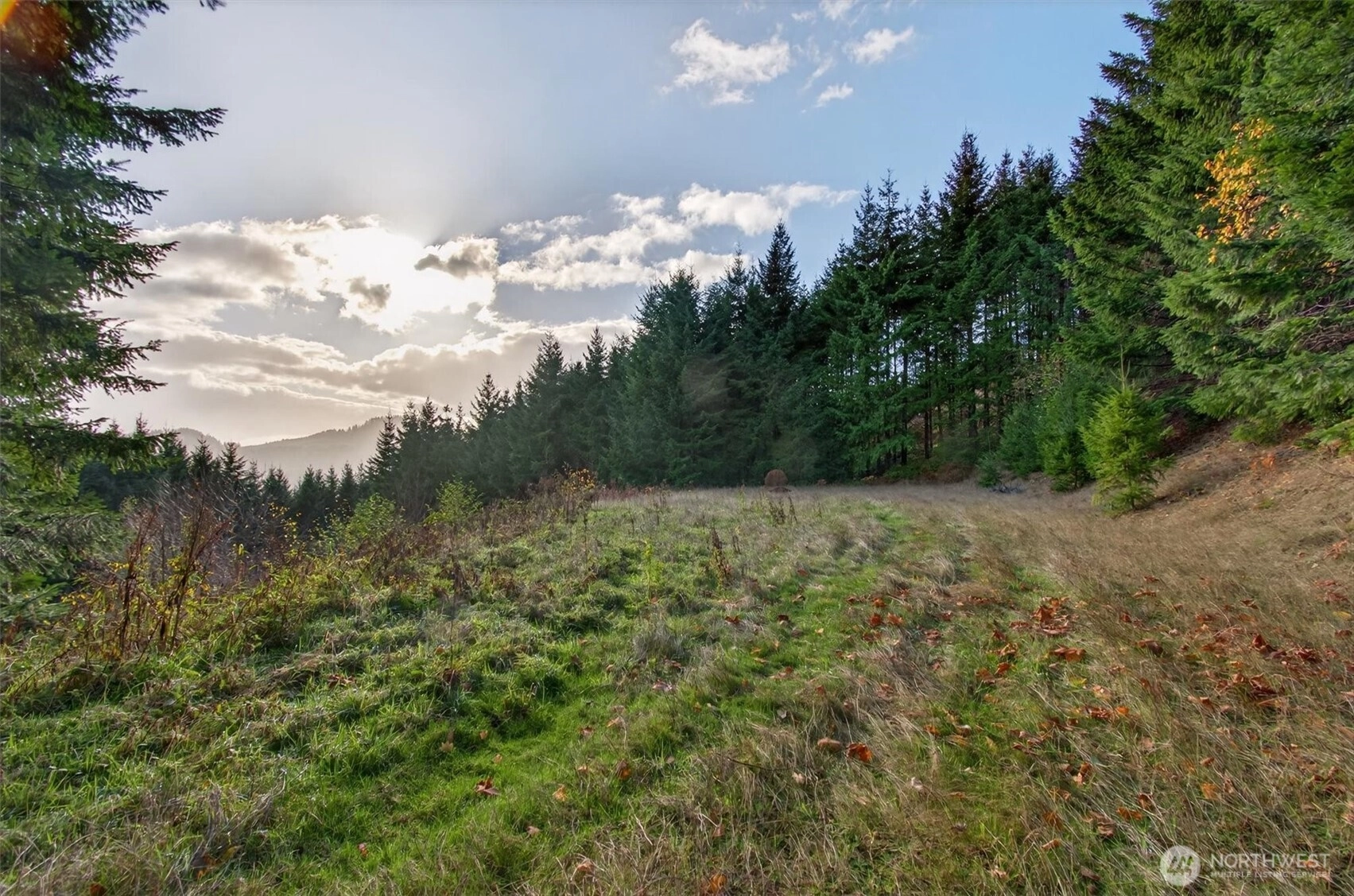 Knightsbridge Rd Unit  Amboy WA 98603