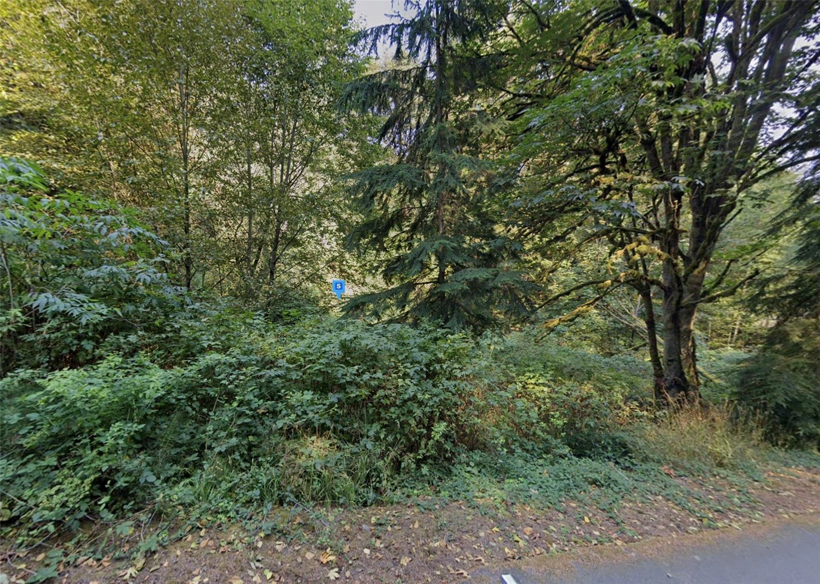 8865 SE Prospect Dr Olalla WA 98359