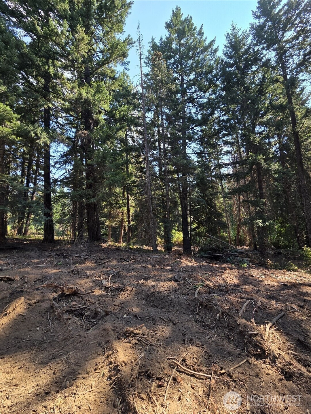 4 Double O Rd Unit  Ronald WA 98940