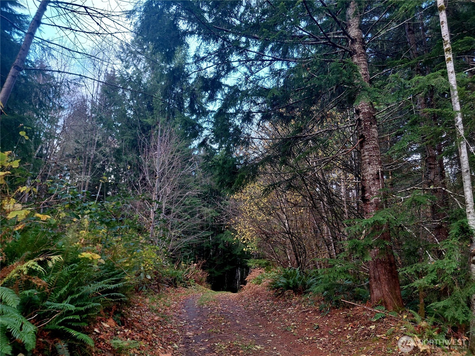 0 Lot 9 Old Barn Rd Unit  Randle WA 98377