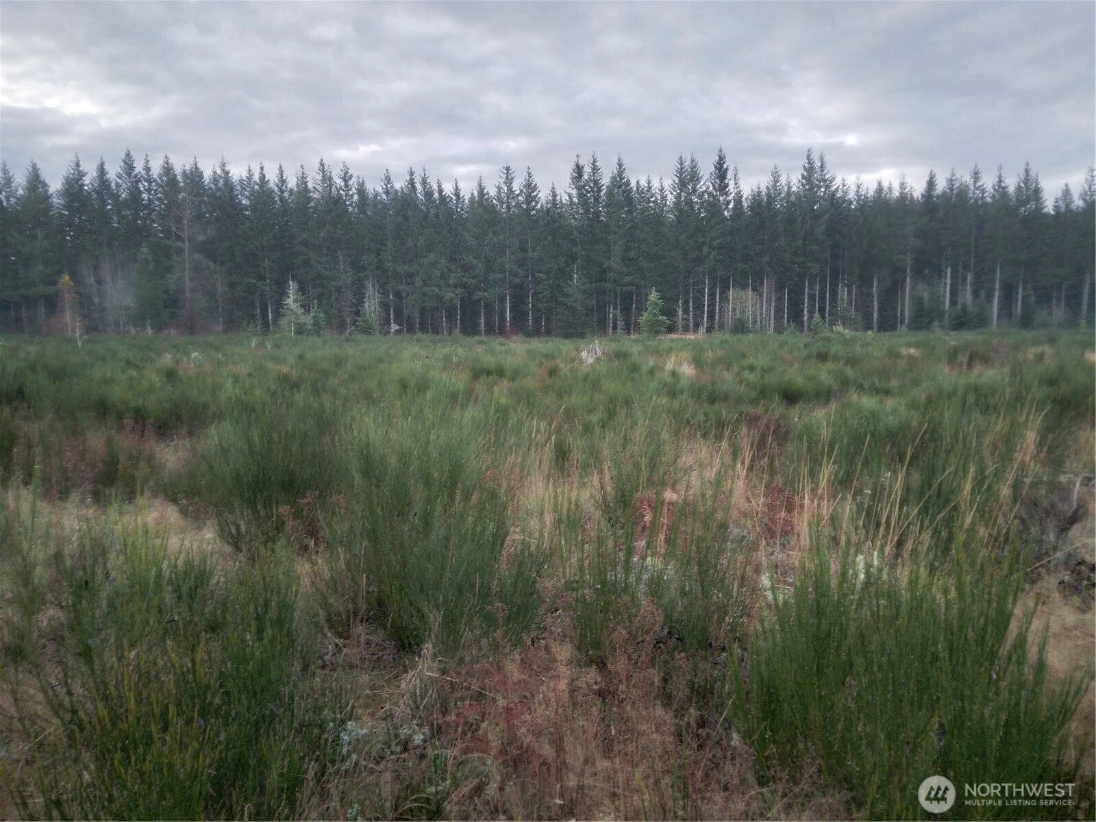 28590 Kent Kangley Ravensdale WA 98051