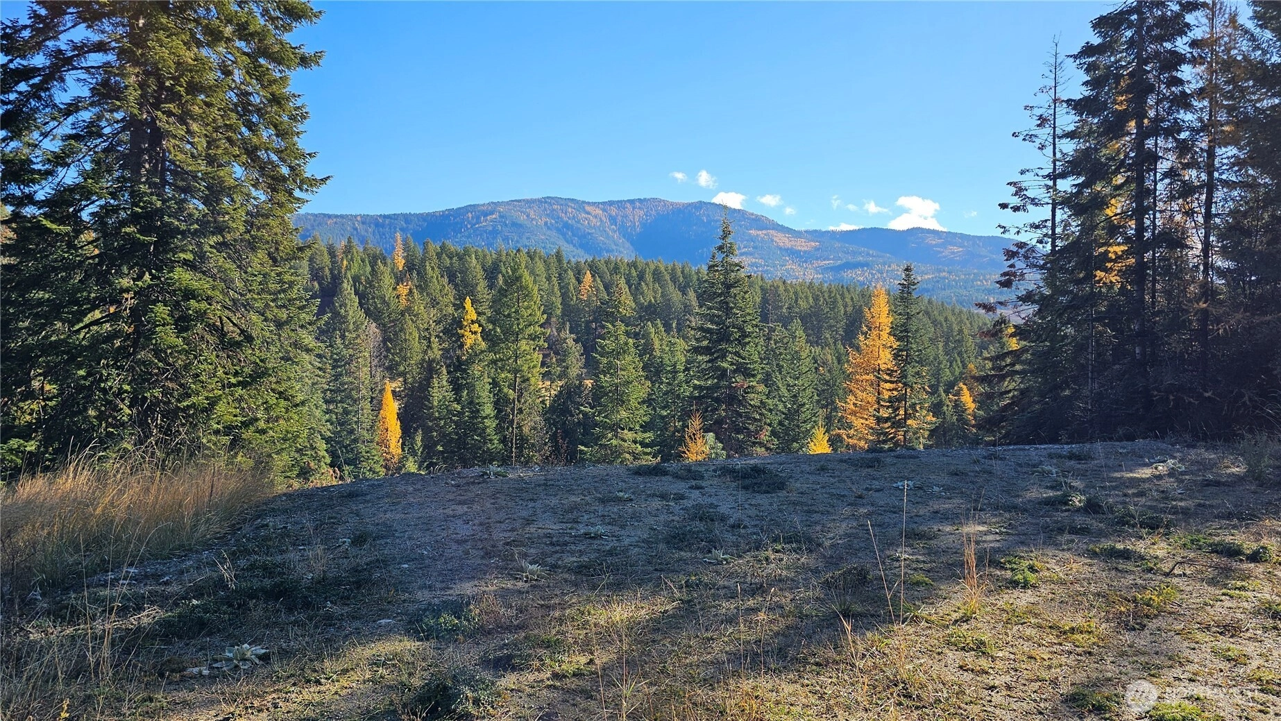 717 C Finley Gulch Rd Colville WA 99114