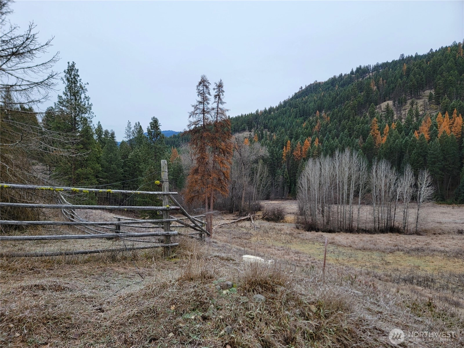 20 Haag Rd Wauconda WA 98859