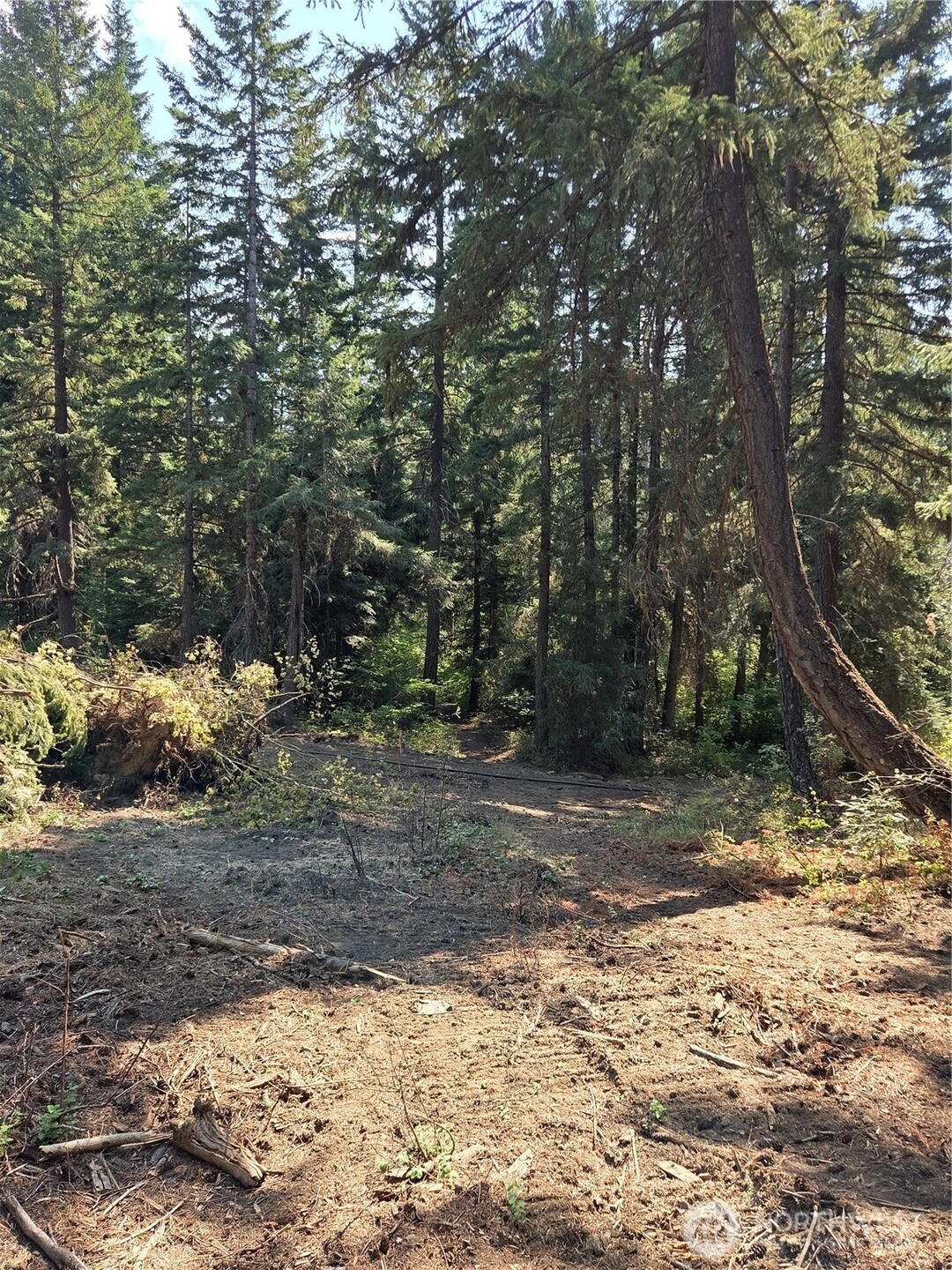 3 Double O Unit  Ronald WA 98940