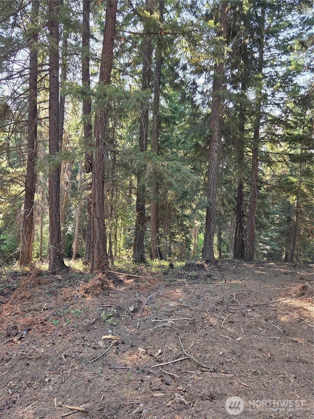 Bitterroot Unit  Ronald WA 98940