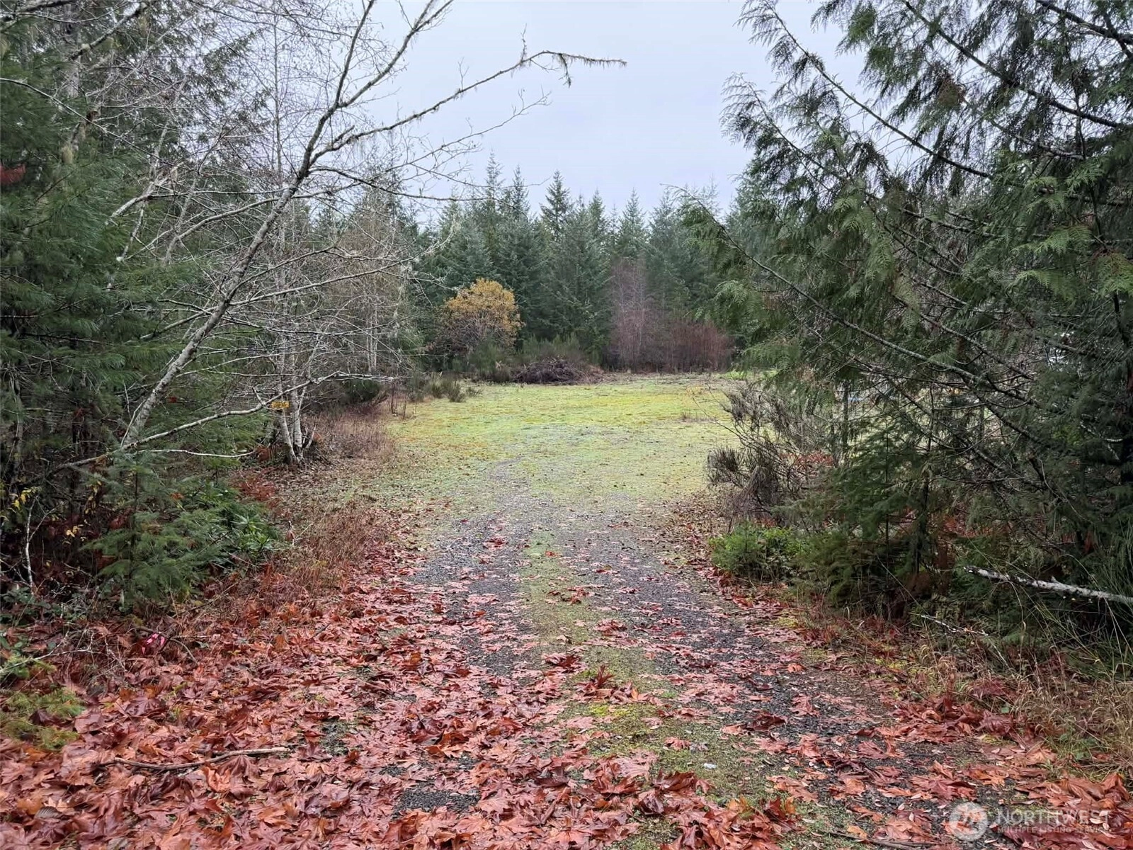 3791 NE Sandhill Rd Belfair WA 98528