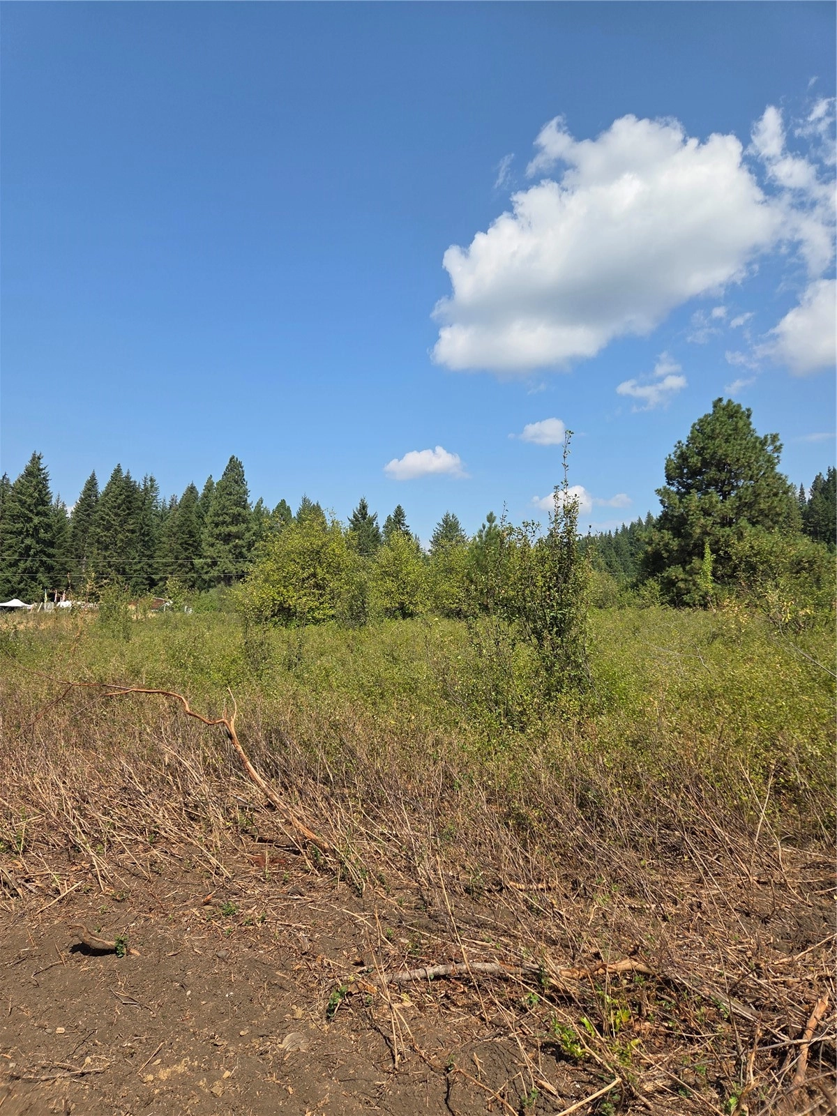 2 Double O Unit  Ronald WA 98940