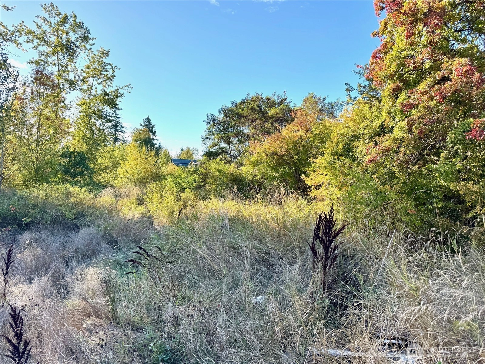 1311 xx S M St Tacoma WA 98444