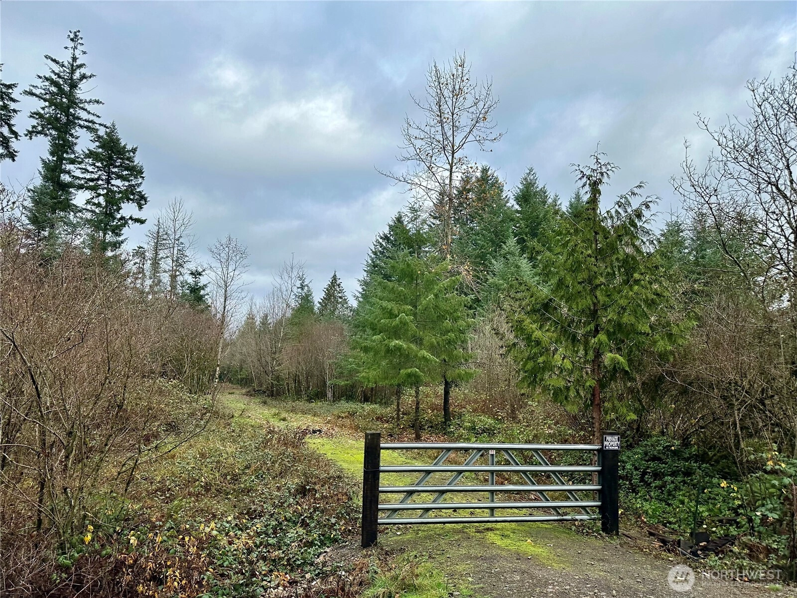 Studebaker Spur 2 Rd Castle Rock WA 98611