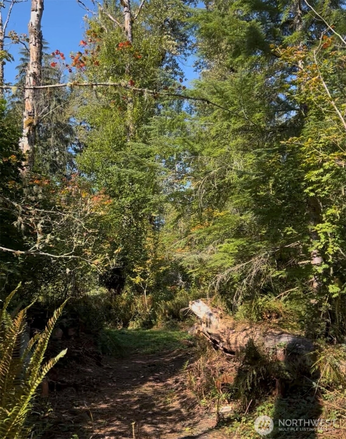 Cascade Ln Eatonville WA 98328