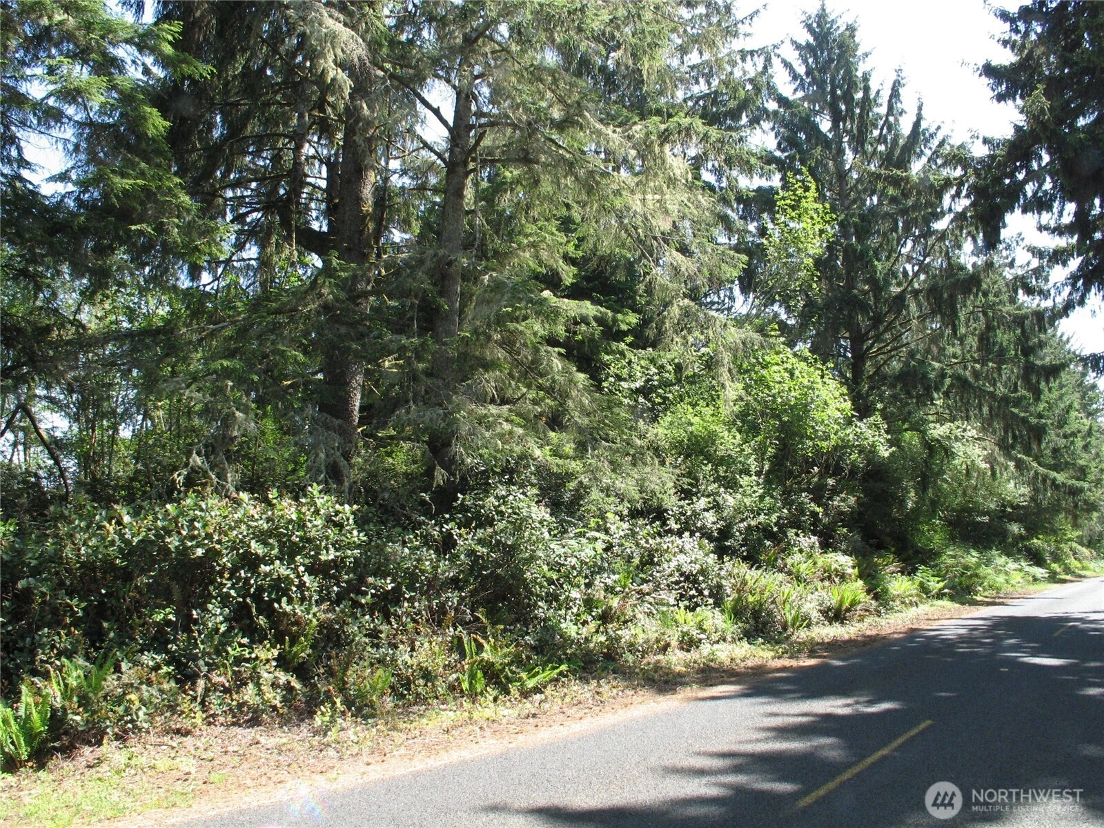 38385 Stackpole Rd Unit  Oysterville WA 98641