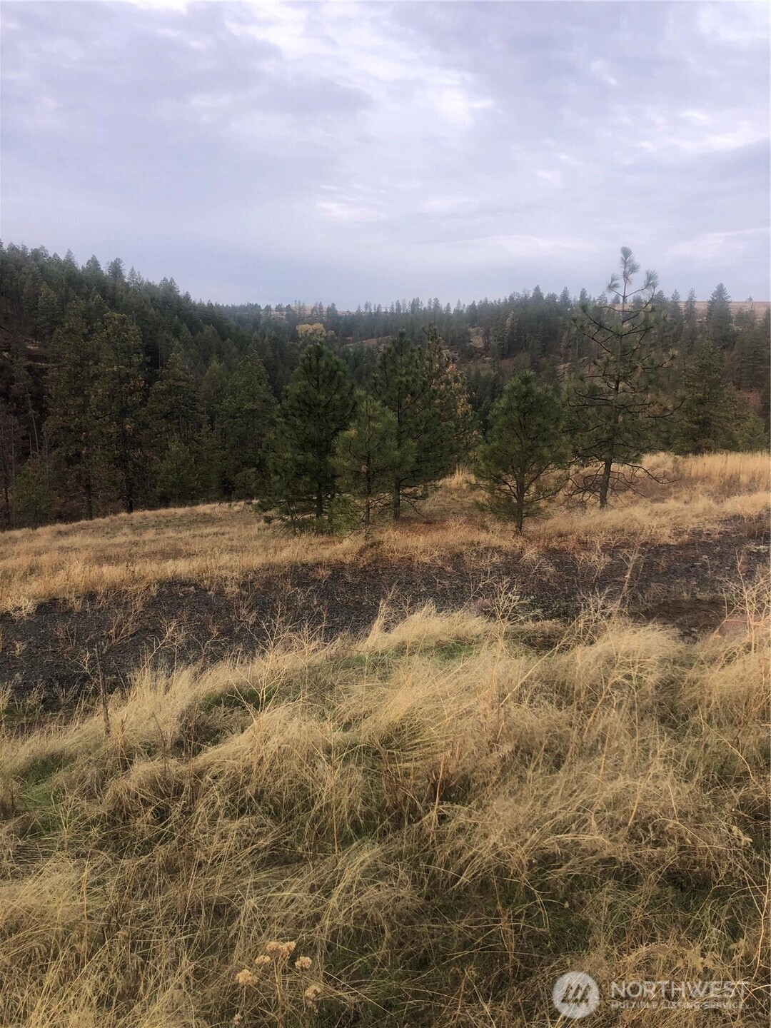 30991 Pine Hen Ln E Davenport WA 99122