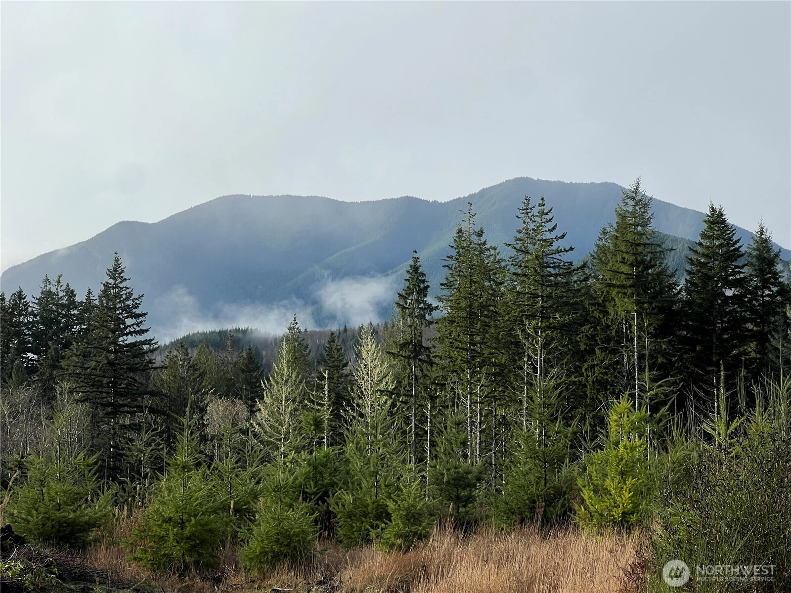 3 xxx Snow Creek Rd Quilcene WA 98376
