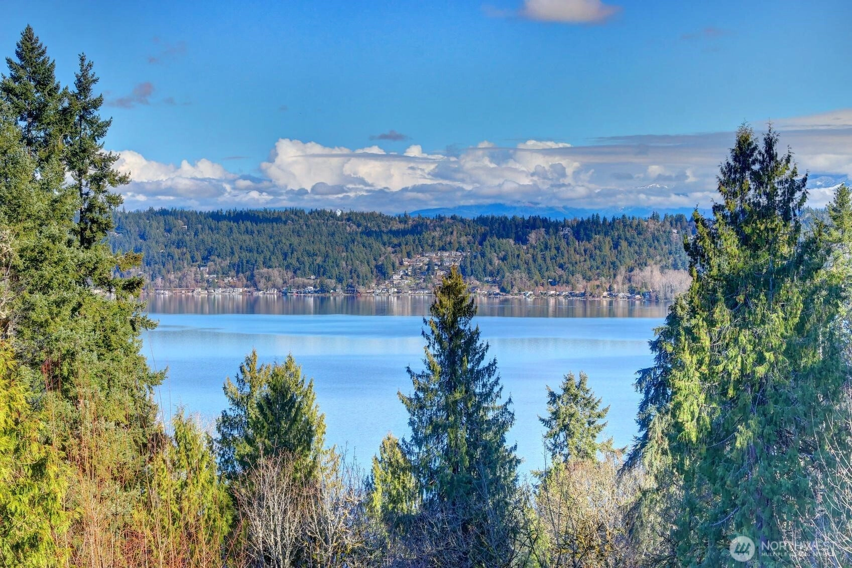 460 168th Ave SE Unit  Bellevue WA 98008