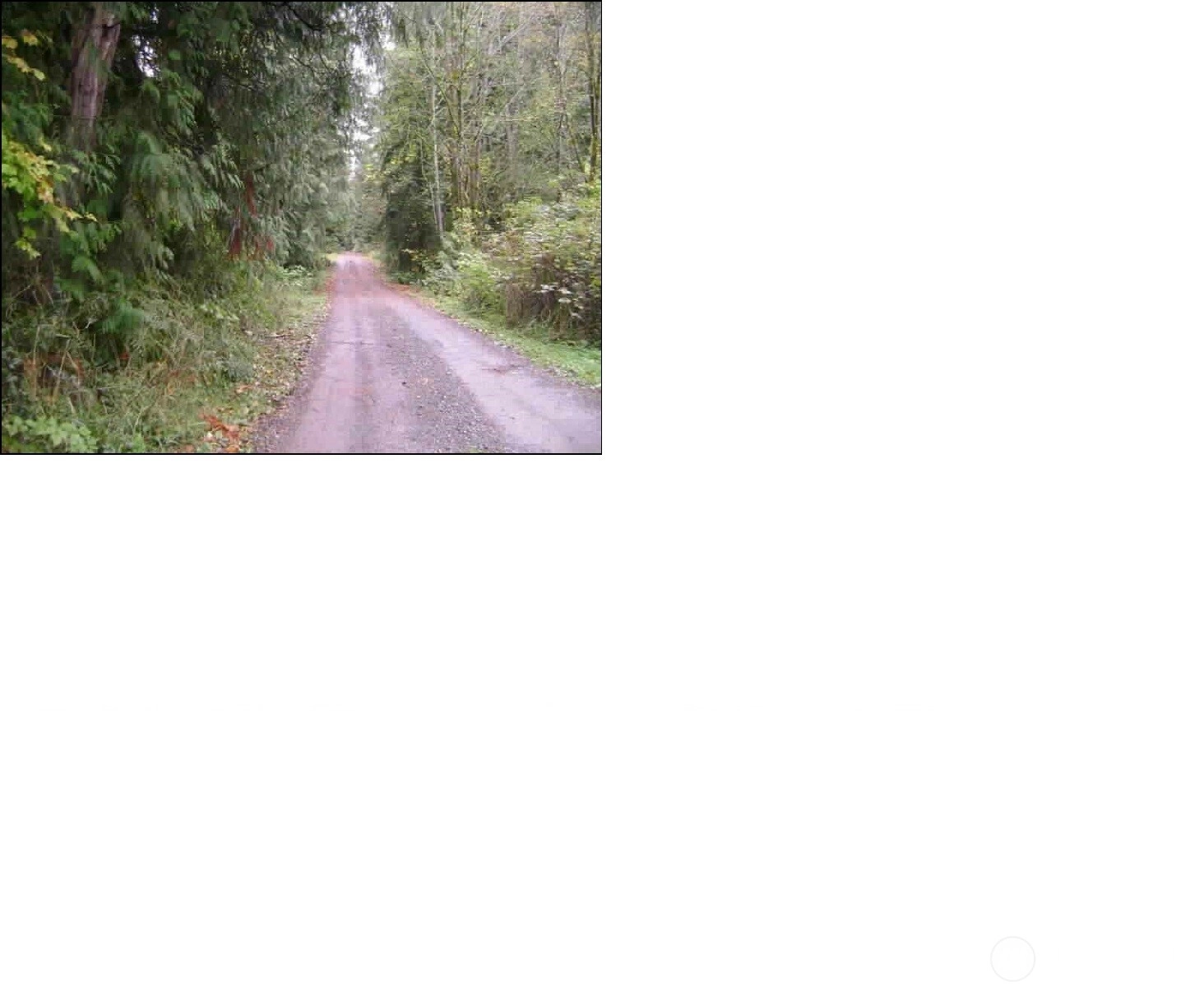 23317 119 Ave SE Woodinville WA 98077