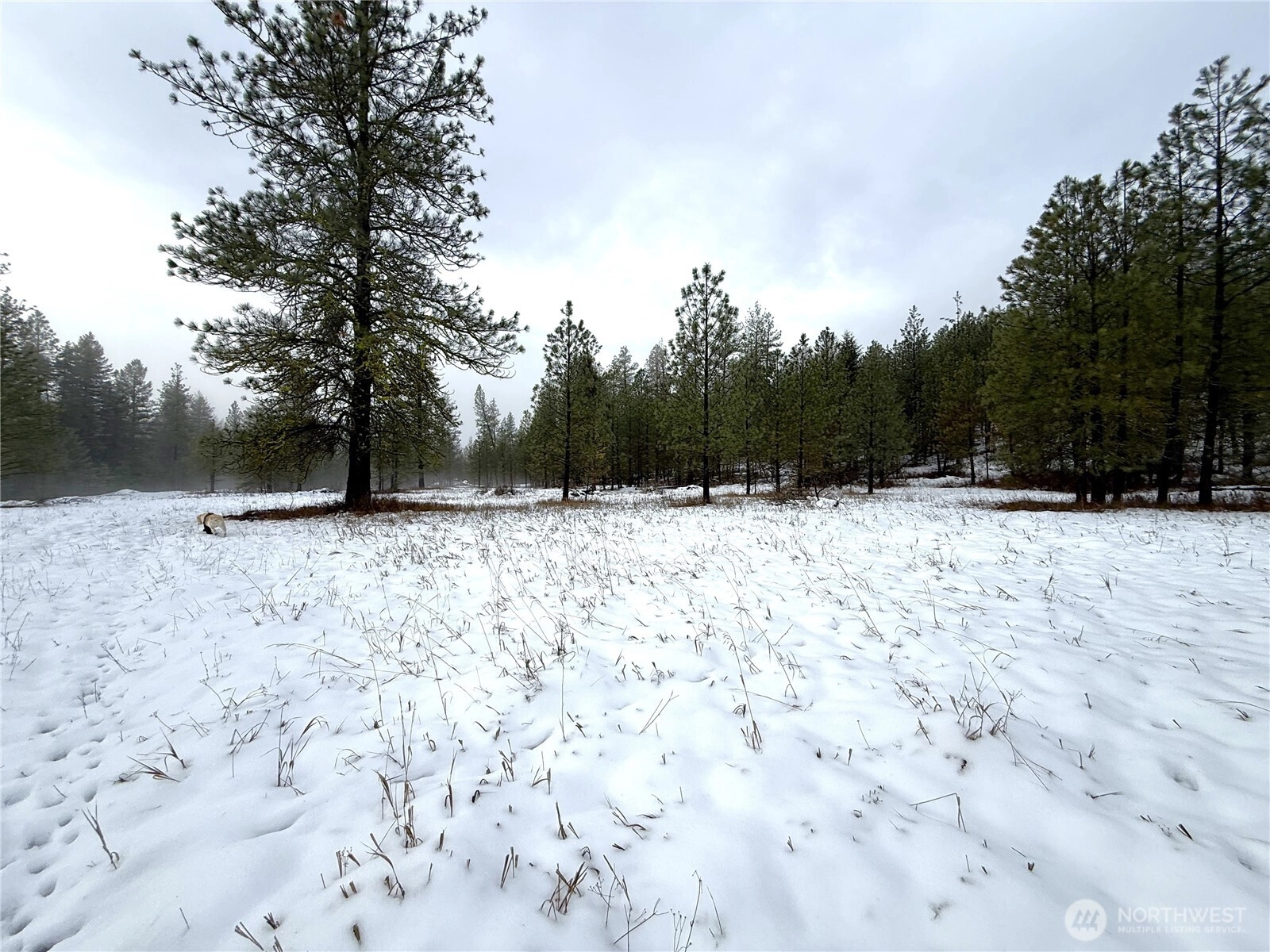 122 Art Creek Rd Malo WA 99150