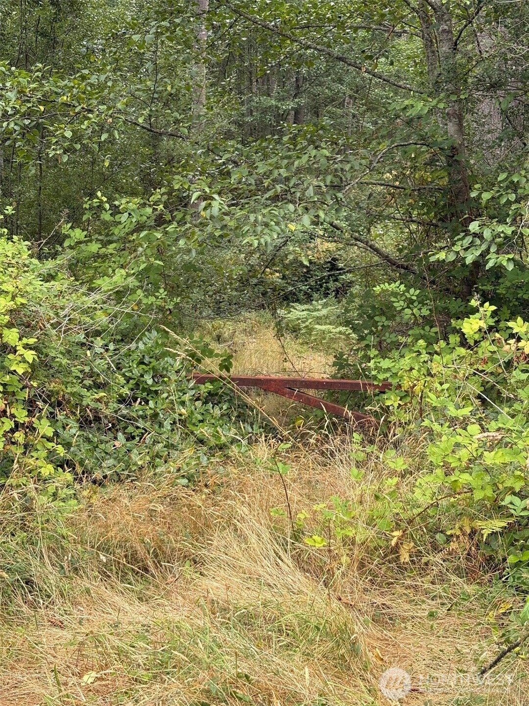 State Route 525 Freeland WA 98249