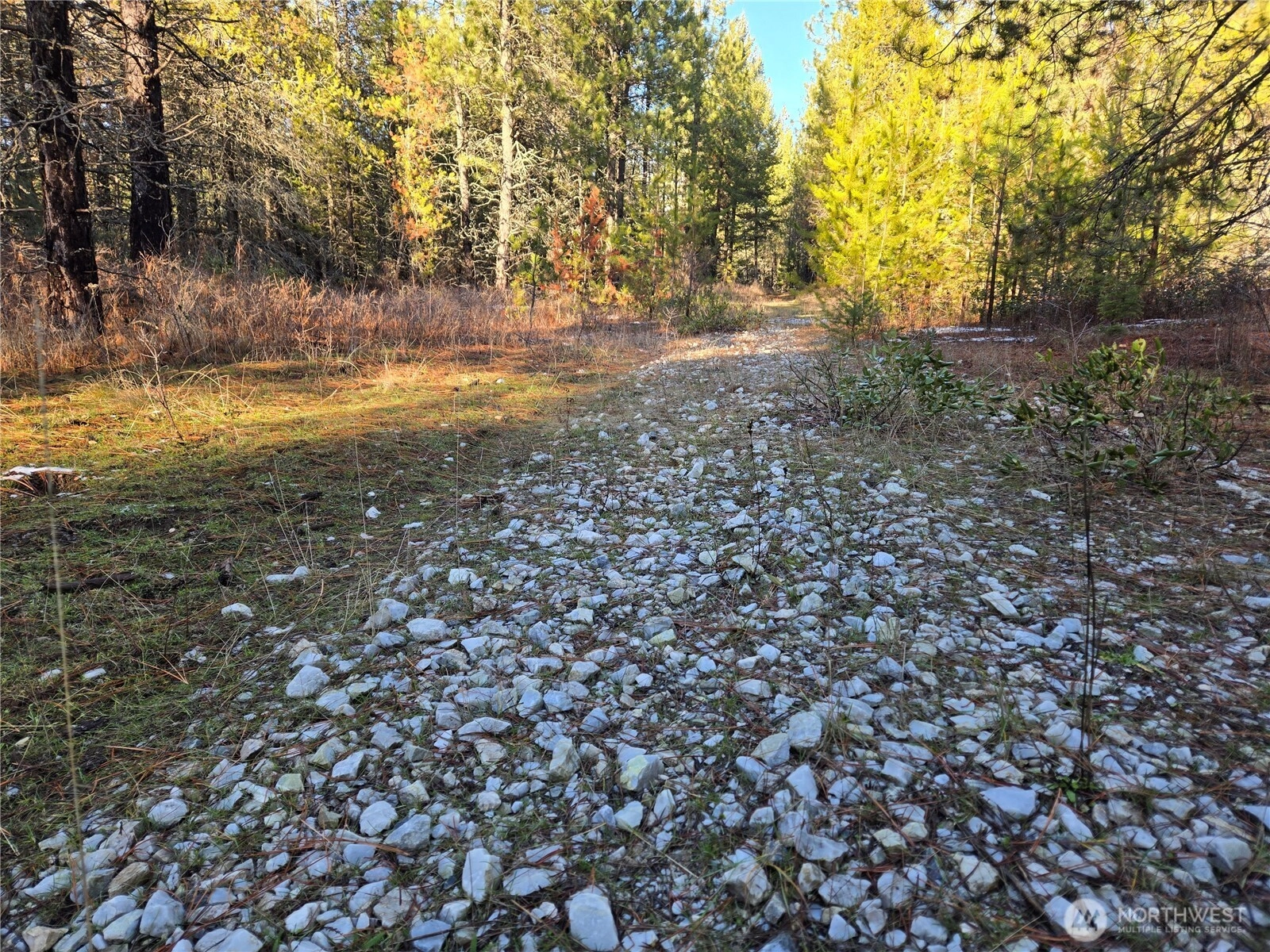 W Jump Off Joe Rd Valley WA 99181