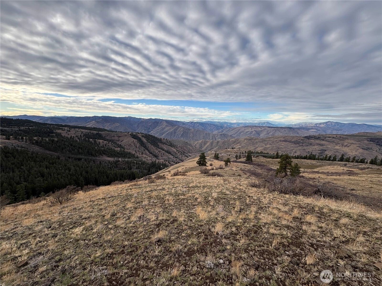 0 XX Deer Creek Dr Unit  Waterville WA 98858