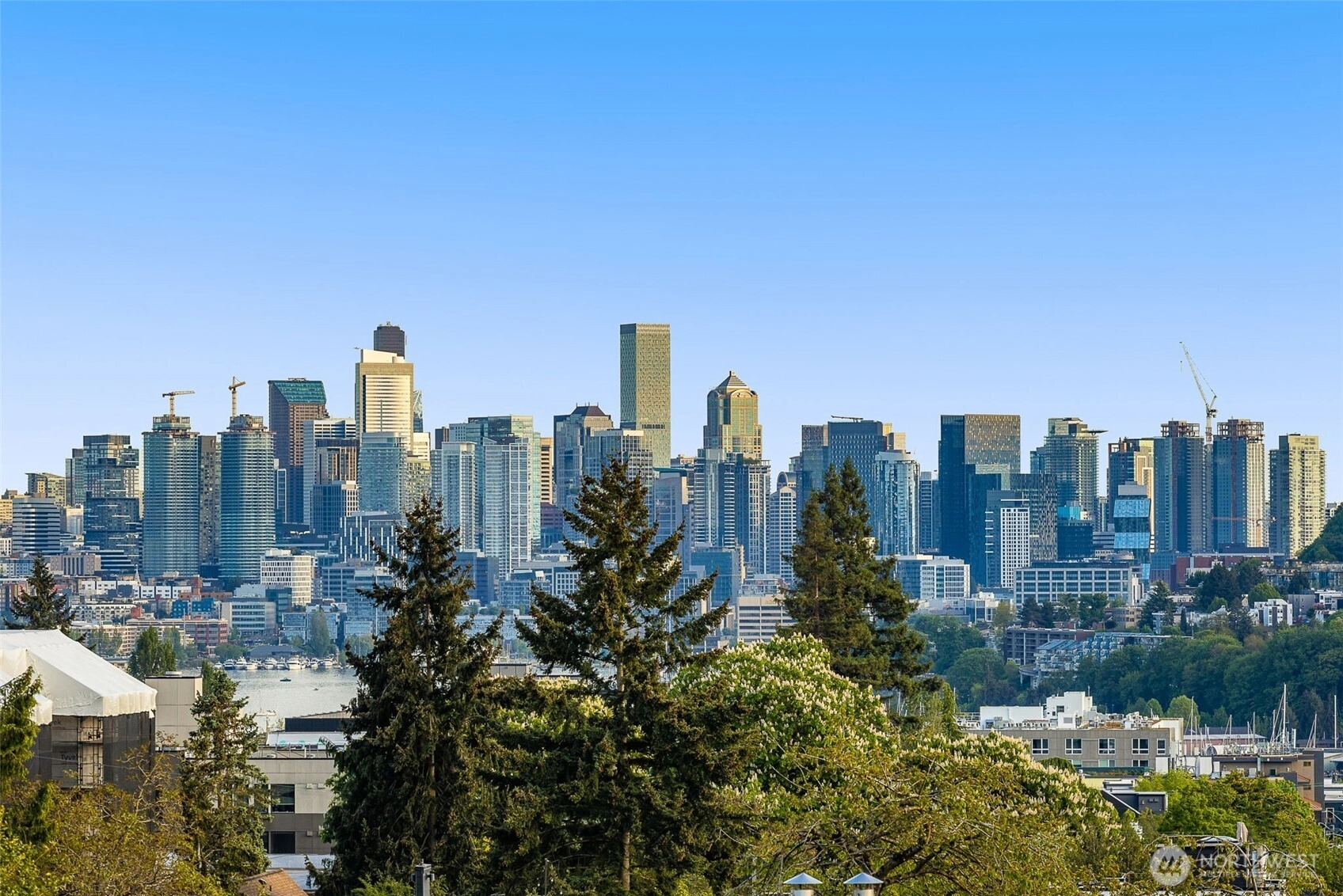 1203 D N Allen Pl Seattle WA 98103