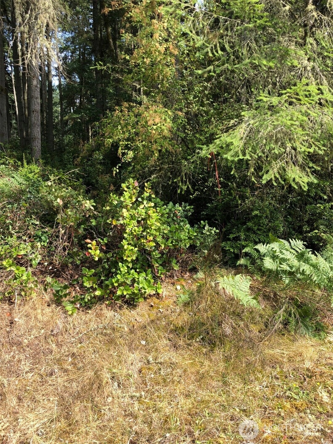 11419 Leschi Cir Anderson Island WA 98303