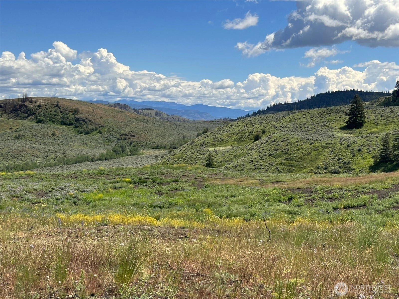 0 TBD Ellemeham Mountain Rd Oroville WA 98844