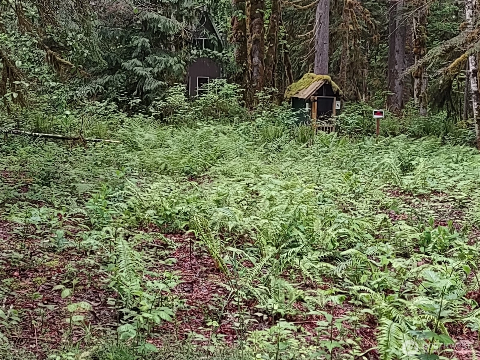 63645 NE 190th St Unit  Baring WA 98224