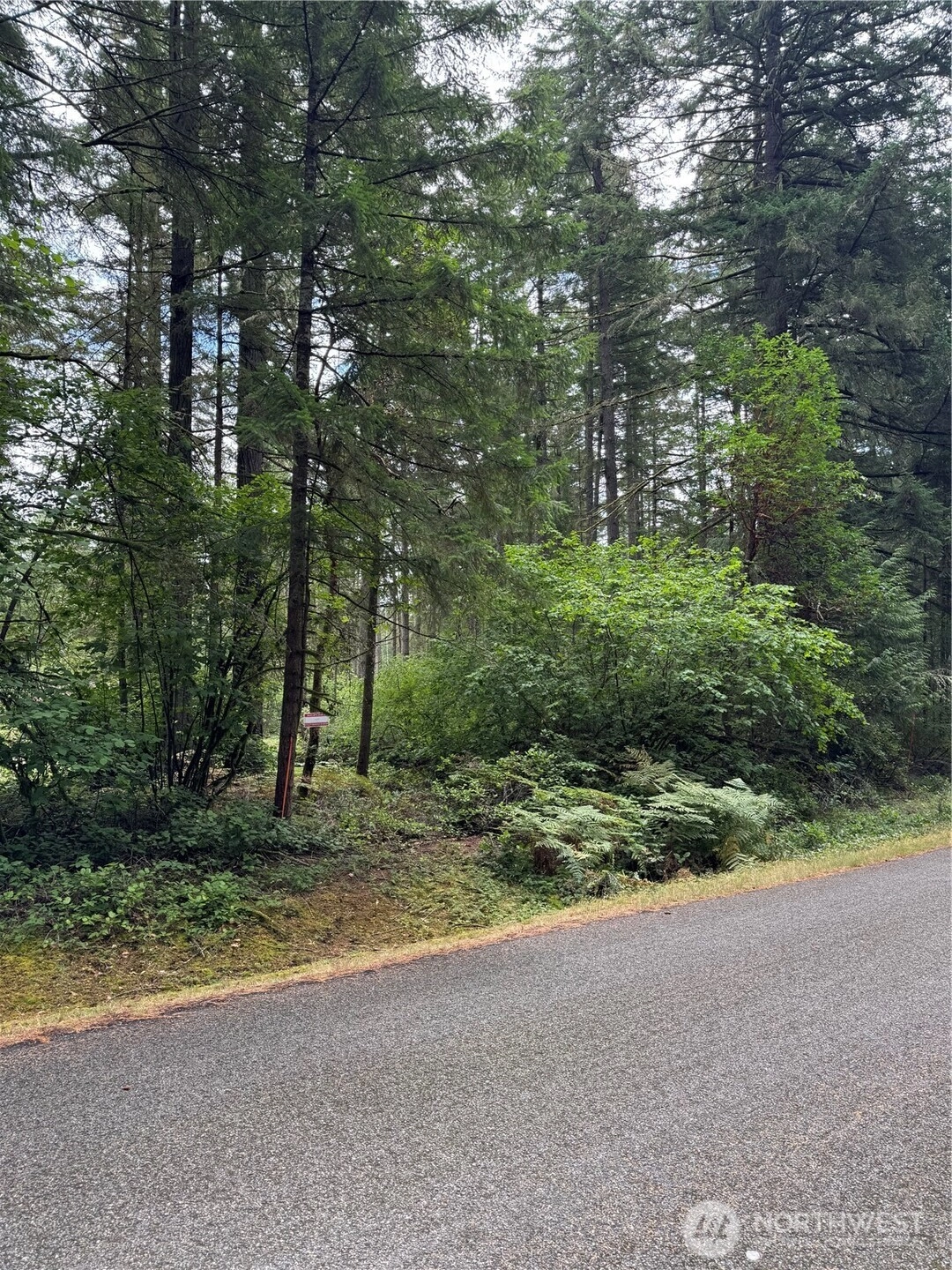 9708 Otso Point Rd Unit  Anderson Island WA 98303