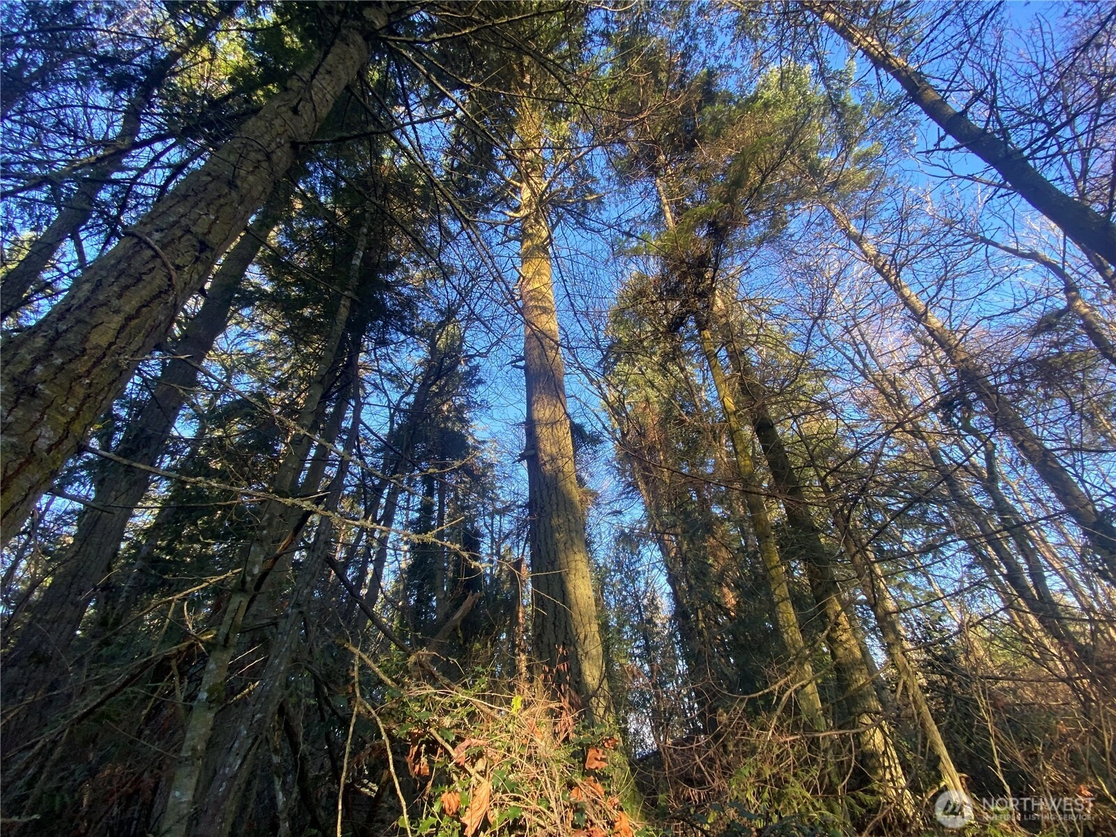 999 White St Unit  Port Hadlock WA 98339