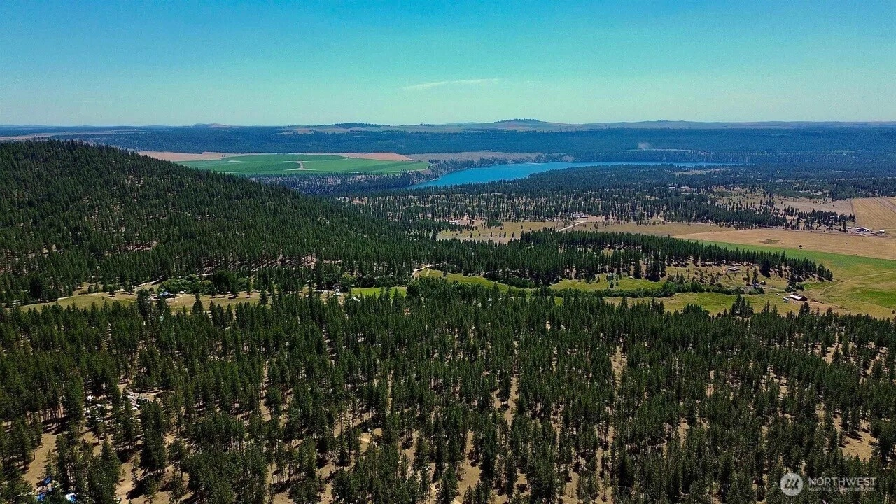 5687 BB Corkscrew Canyon Rd Tumtum WA 99034