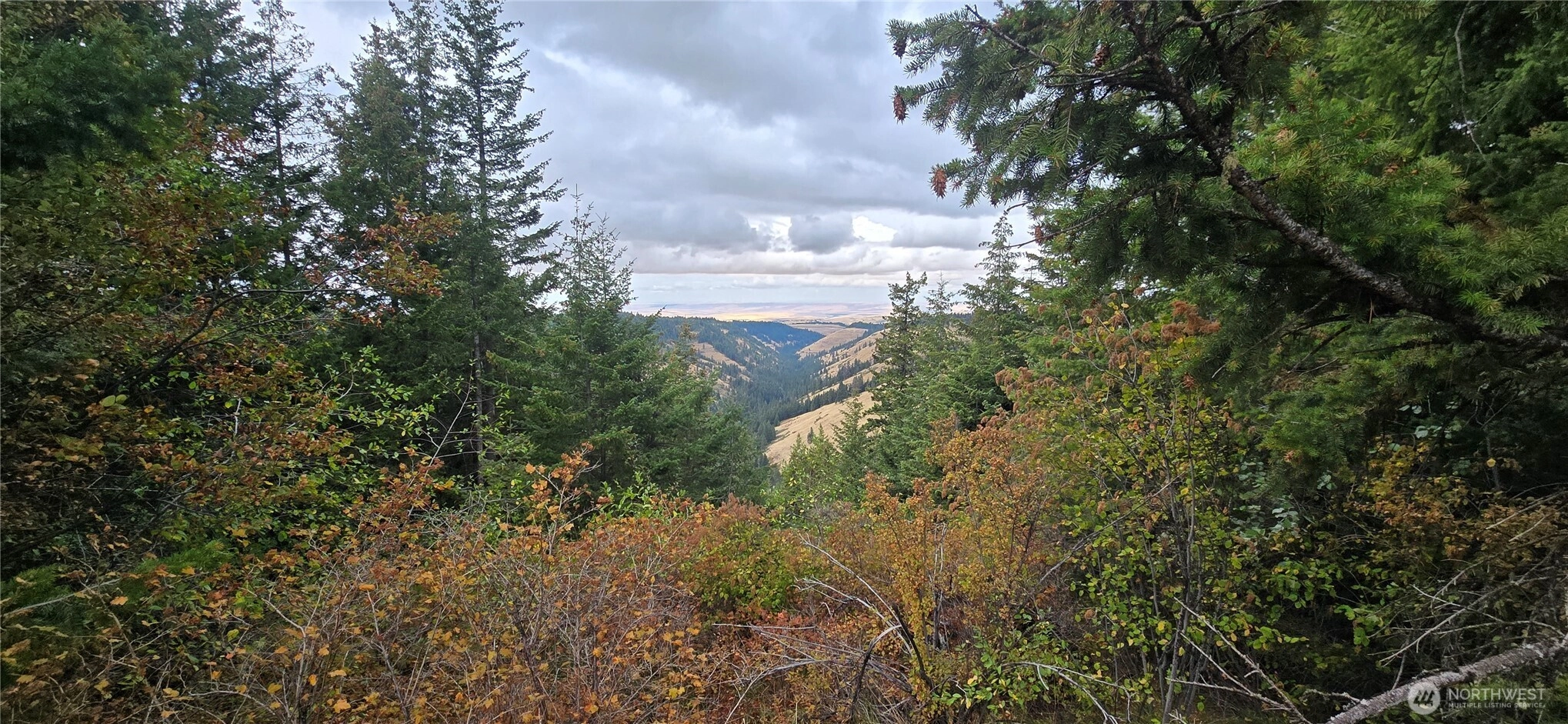 30 Acres Off Biscuit Ridge Waitsburg WA 99361
