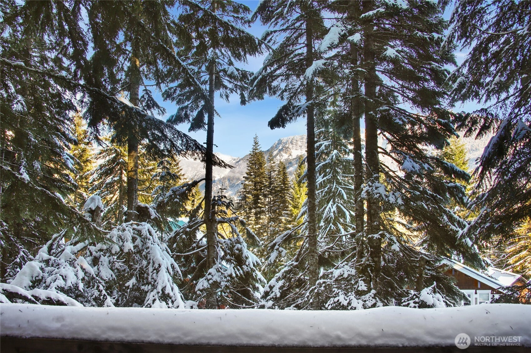 710 Snoqualmie Dr Unit  Snoqualmie Pass WA 98068